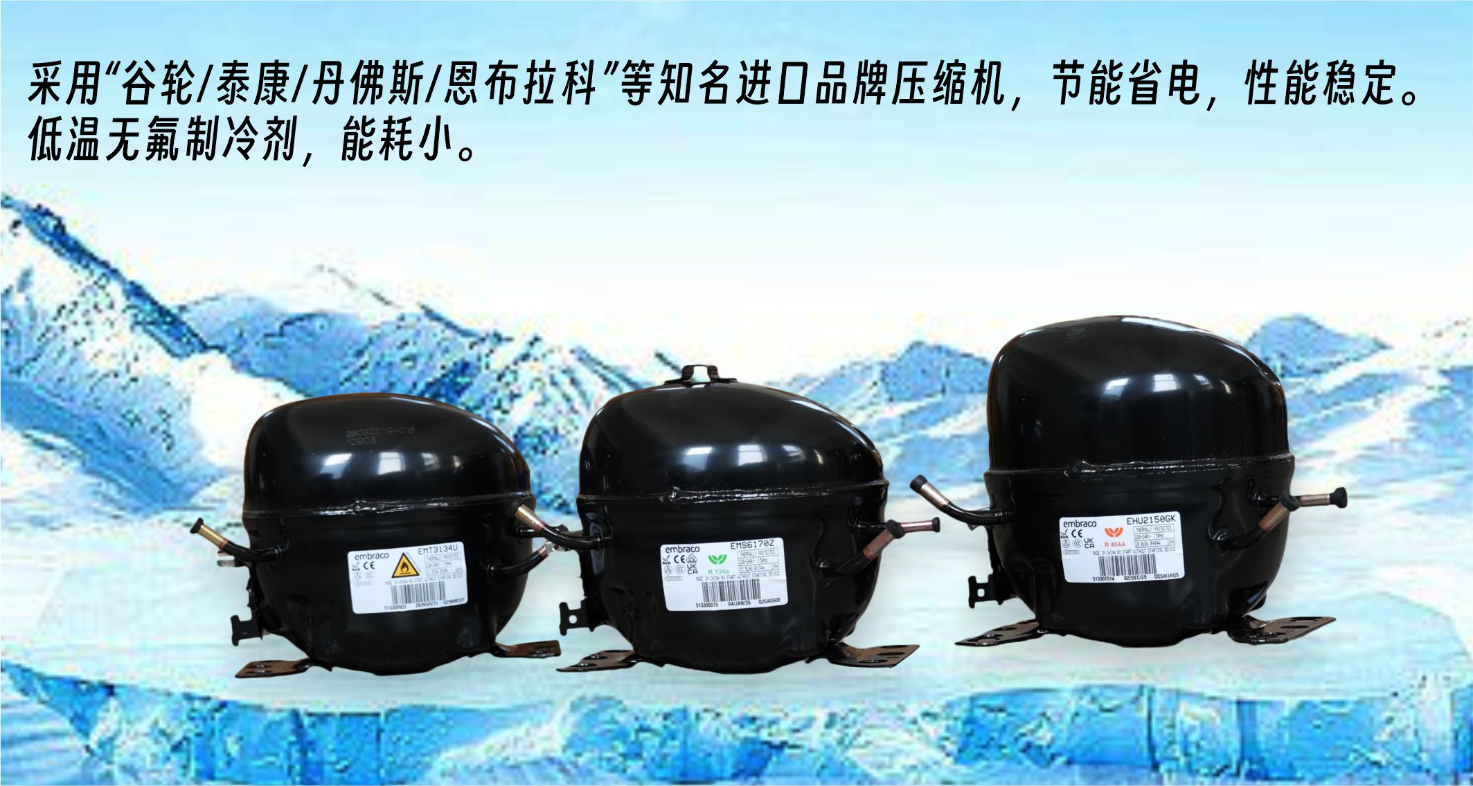进口品牌压缩机.jpg